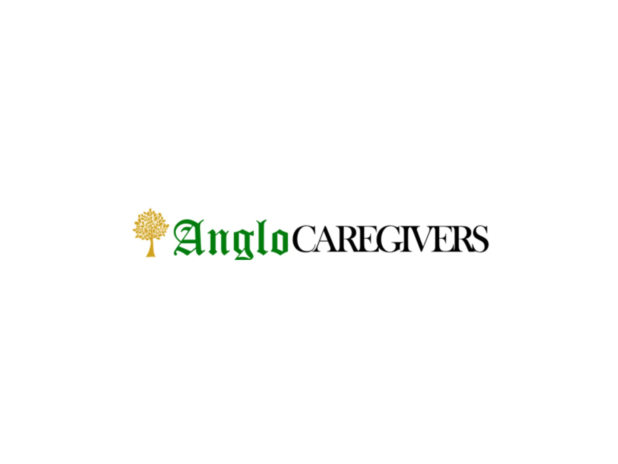 Zoom Visual Client - ANGLOCAREGIVERS Logo