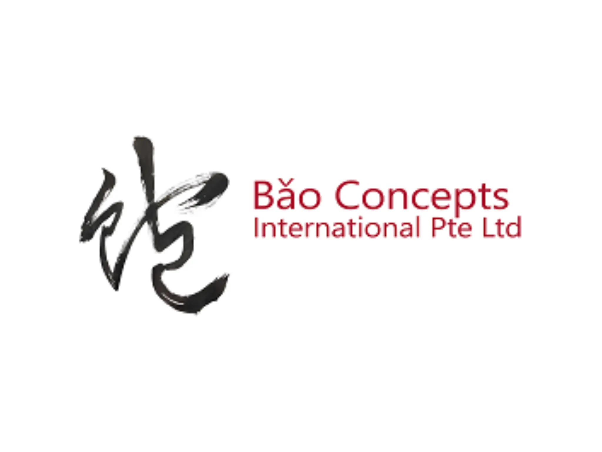 Zoom Visual Client - BAO CONCEPTS INTERNATIONAL Logo