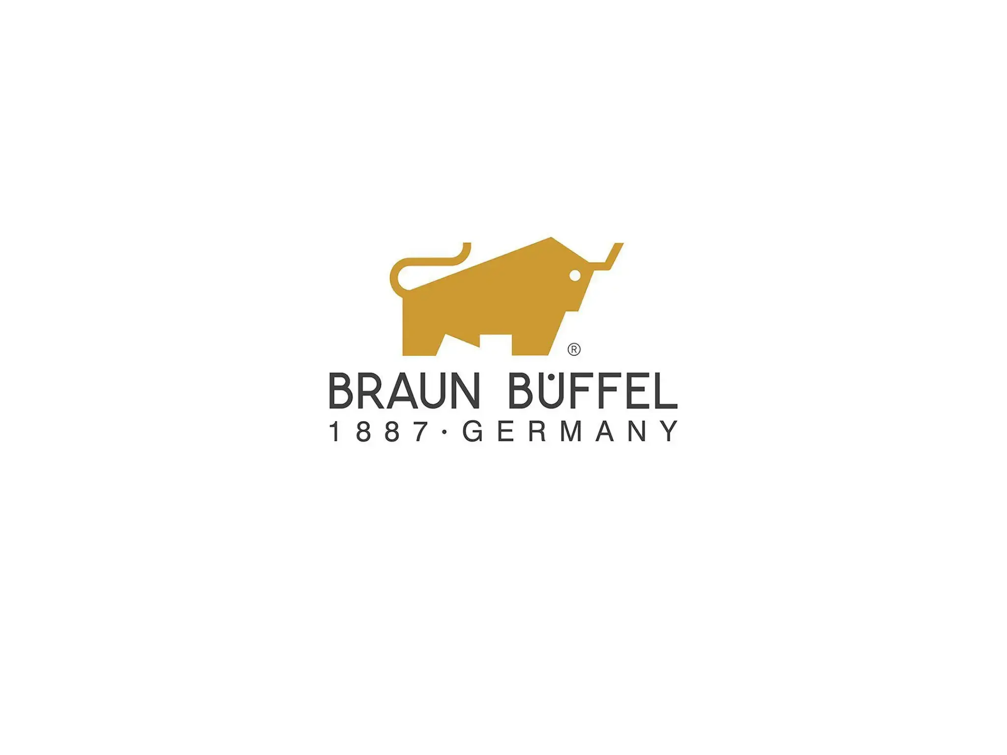 Zoom Visual Client - Braun Buffel Logo