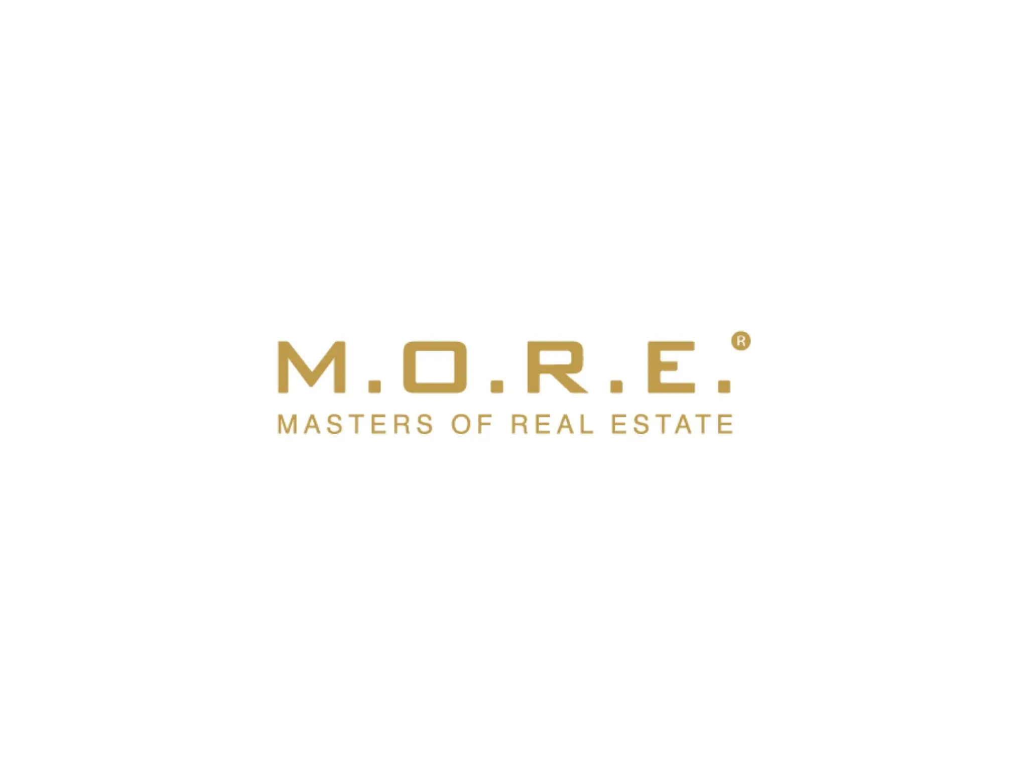 Zoom Visual Client - MORE GLOBAL HOLDINGS Logo