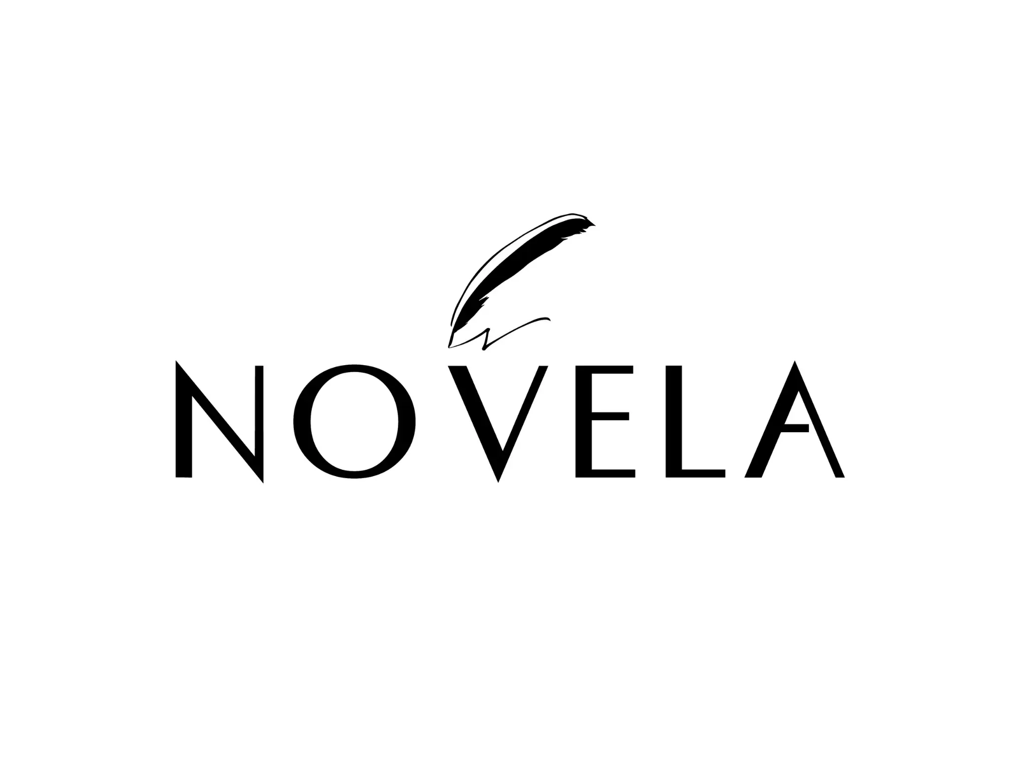 Zoom Visual Client - NOVELA Logo
