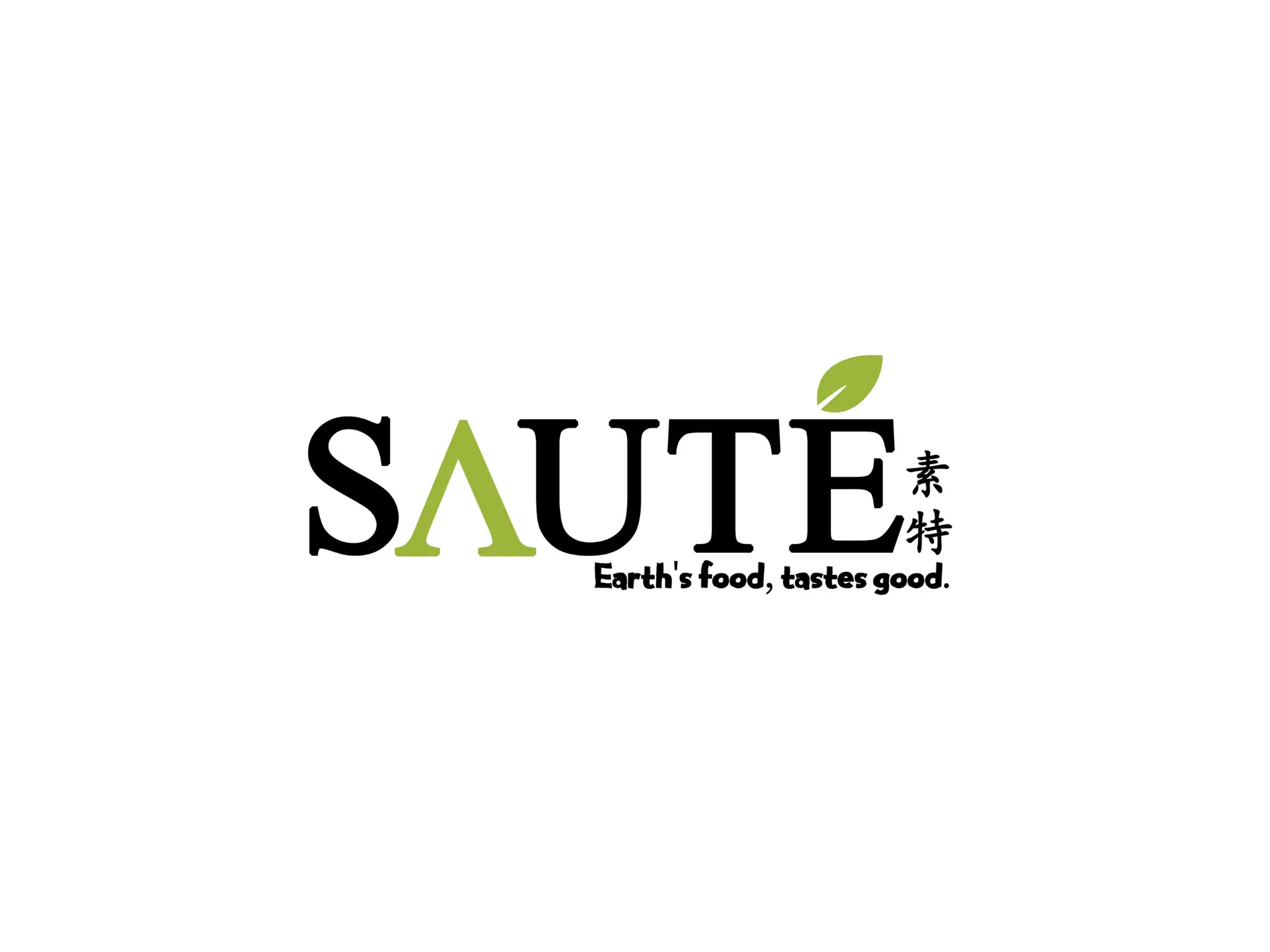 Zoom Visual Client - SAUTE Logo