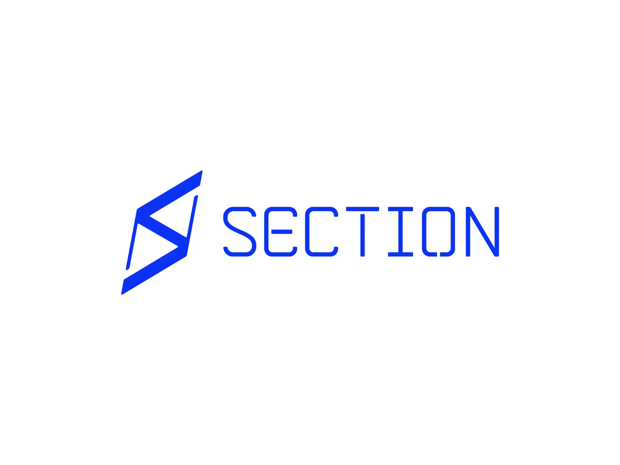 Zoom Visual Client - SECTION Logo