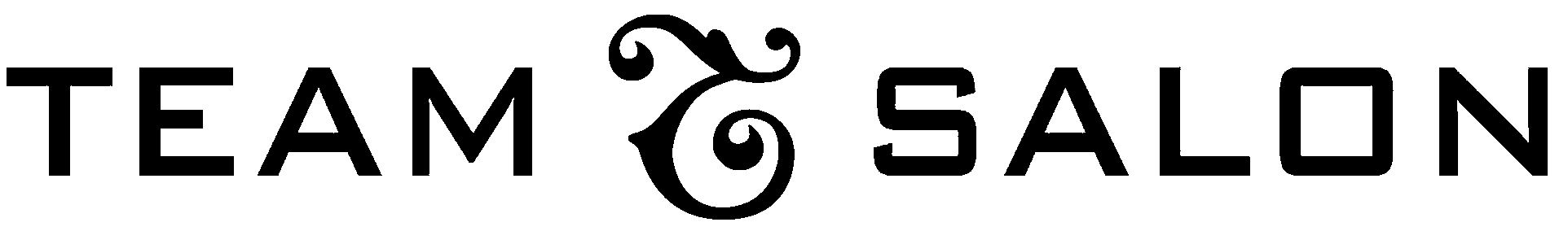 Zoom Visual Client - Team Salon Logo