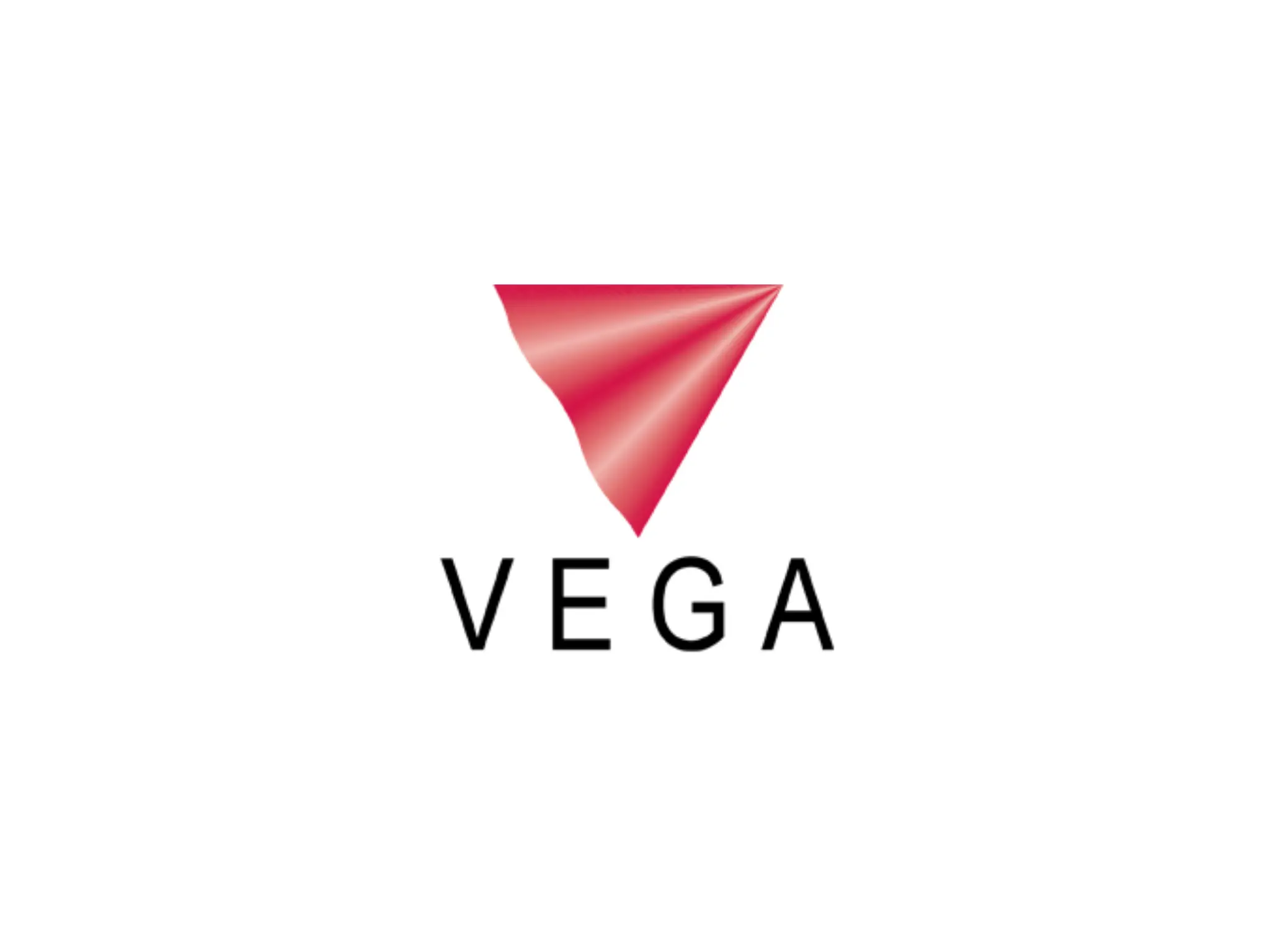 Zoom Visual Client - VEGA PROJECTS Logo