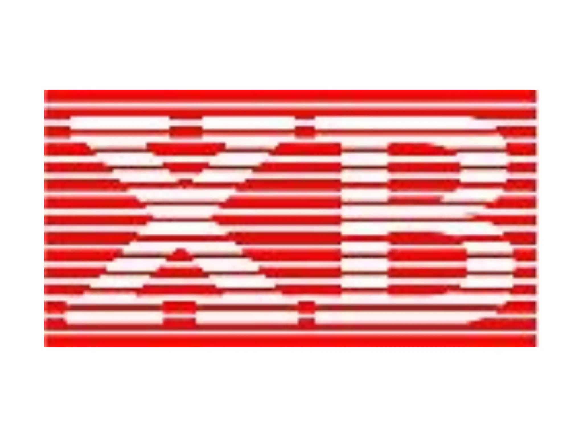 Zoom Visual Client - XIN BAO Logo