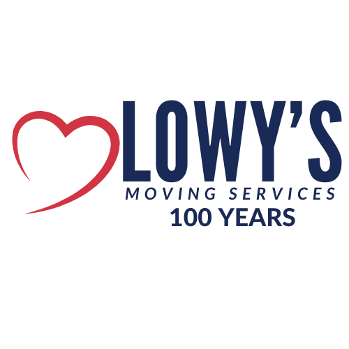Zoom Visual Client - LOWY's logo